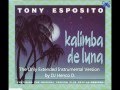 Tony Esposito - Kalimba De Luna (DJ Henco D.- The ...