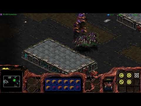 My let play StarCraft: Remastered - Brood War Zerg Mission 6