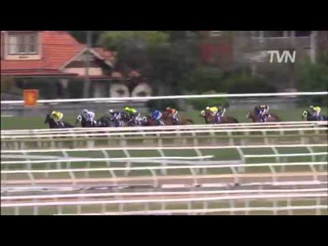 Watch Fawkner (Reset) win the G1 Caulfield Stakes at Caulfield, Australia, 2014