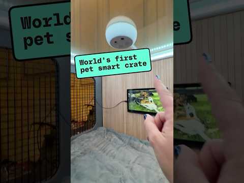 Video Thumbnail: The Verge's Jennifer Pattison Tuohy came across a smart dog crate on the CES show floor. #CES2026