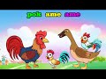 Bebek Nyosor Dan Animasi Ayam Pok Ame Ame Lagu Anak Anak