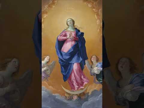 President Trump Message: Honoring Mary on Immaculate Conception Feast #shorts