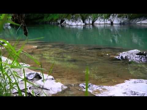 Sur les Nives... Erreka-mouche