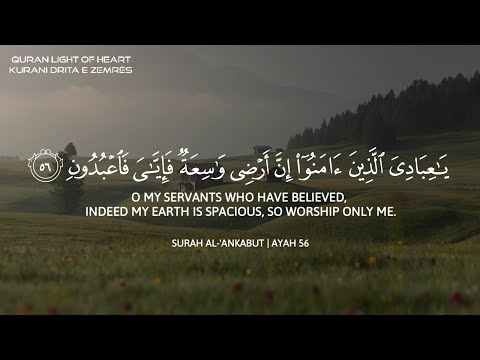 عبدالرحمن مسعد - آيات من سورة العنكبوت مكررة تلاوة 🎧 ضع السماعة وأرح سمعك وقلبك ♥️ تلاوة هادئة 😌