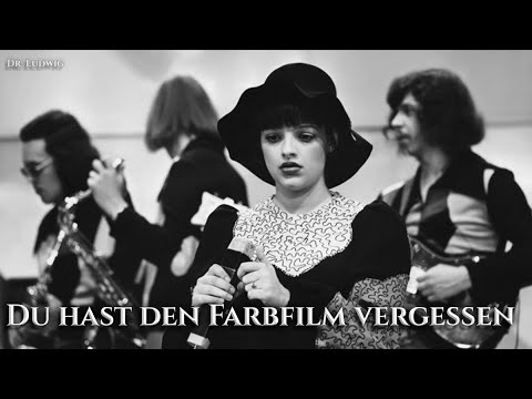 Du hast den Farbfilm vergessen [German Schlager][+English translation]