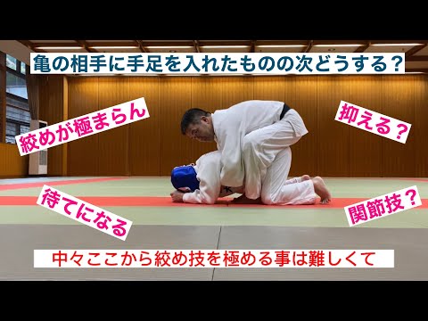 【柔道寝技】亀の相手の後ろについてからの展開