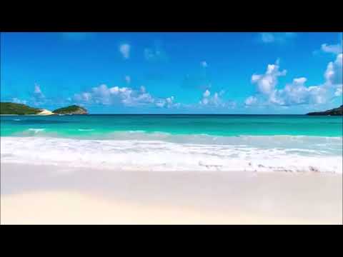 Kojic Dusan Privatno