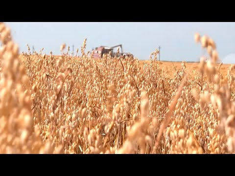 Уборочная кампания - под контролем. Ситуацию мониторят прокуратура и МЧС видео