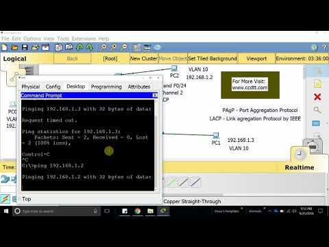 CCNA Configuring EtherChannels PAgP and LACP With VTP and VLANs - 19