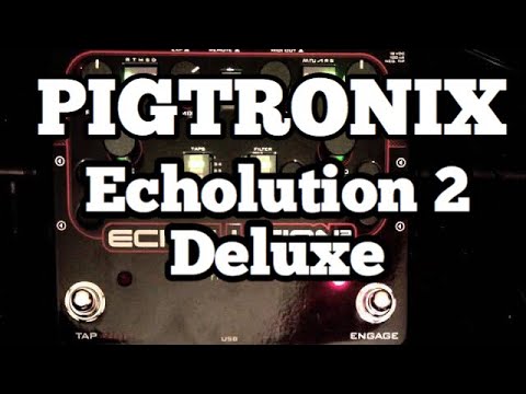 Pigtronix Echolution 2 Deluxe Demo
