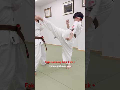 フェイント後ろ回し蹴り→上段回し蹴りFake spinning back kick → High roundhouse kick  #大谷道場#大谷#karate#feint#kick#shorts