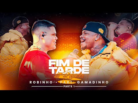 Fim de Tarde do Robinho Ao Vivo - Parte 1 - Participação Gamadinho