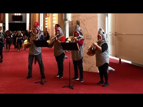 The National Symphony Orchestra performs 'Baby Shark'