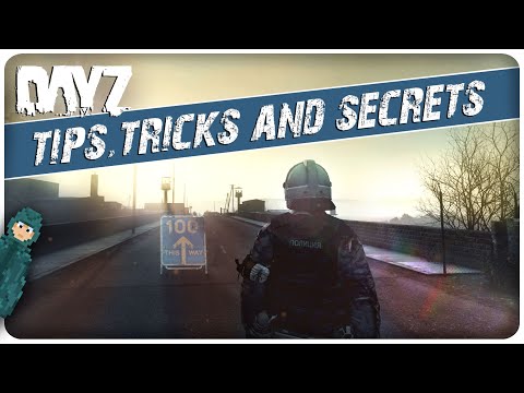 102 Tips & Tricks That Actually Work in 2024 | DayZ