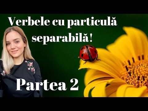 Germana pentru incepatori: Lectia 30 - Verbe cu particula separabila (Partea 2)