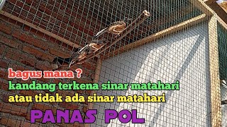 Download lagu penting atau tidak sinar matahari masuk kandang ternak murai batu mp3