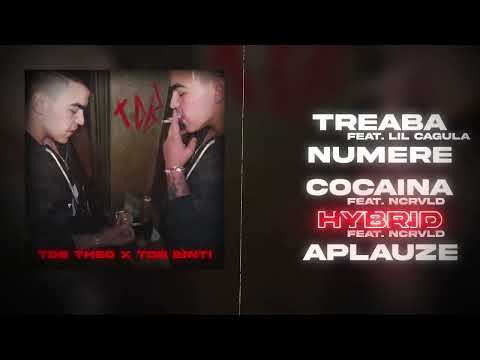 FBD Theo x TDB Binti - Hybrid feat.ncrvld