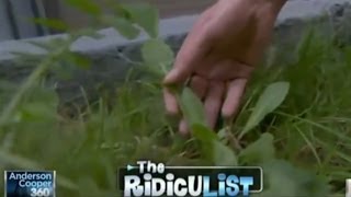 Weeds and herbs thieves (Ridiculist Story)