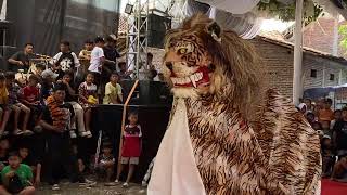 Download lagu BARONGAN JUMBO COMEBACK 🔥 SATRIO MANUNGGAL SINGO MANIS LIVE KUMPULREJO 24/7/26 mp3 Download lagu BARONGAN JUMBO COMEBACK 🔥 SATRIO MANUNGGAL SINGO MANIS LIVE KUMPULREJO 24/7/26 mp3