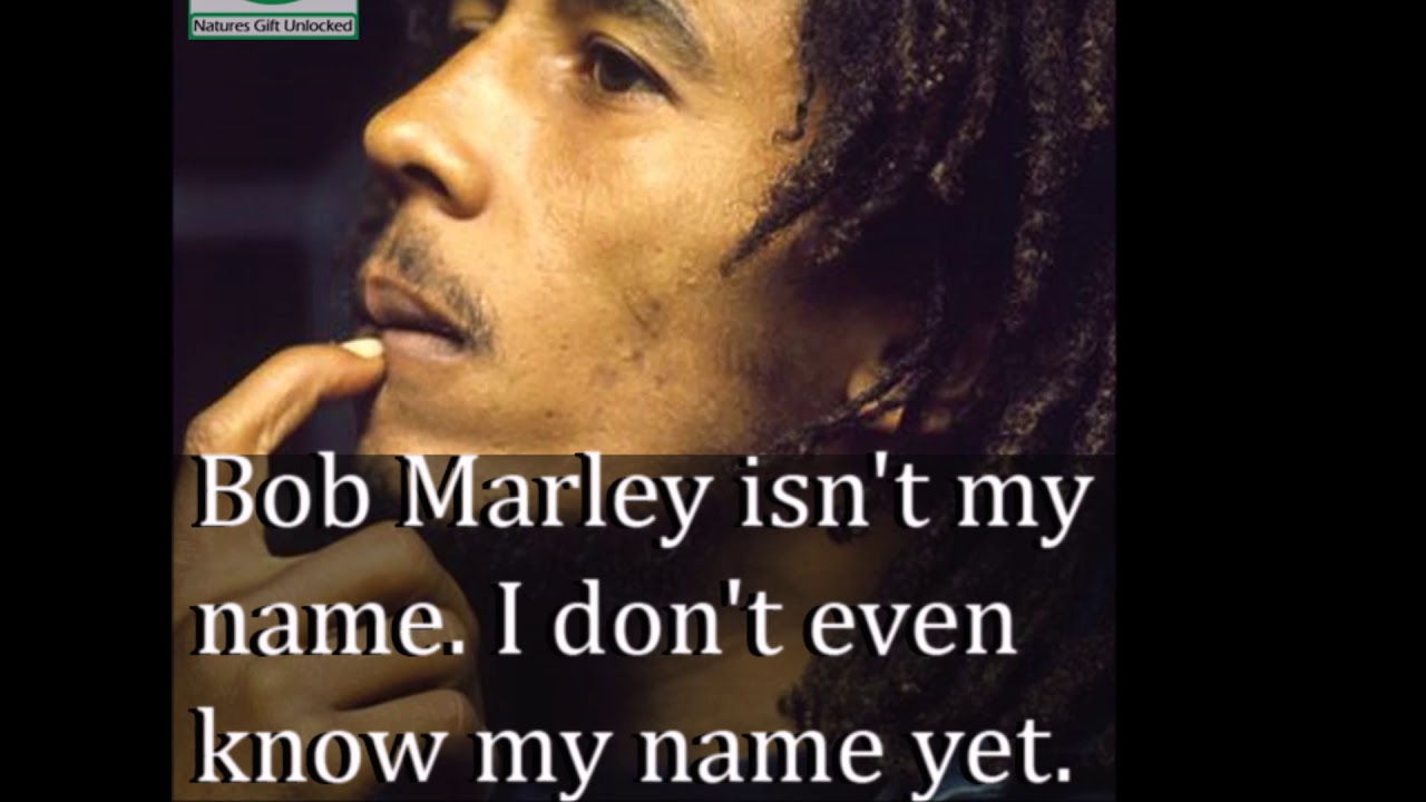 If Your High Read These Dope Stoner Quotes
