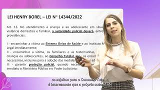 2.14. Contexto, objetivo, formas de violência, aplicação da Lei Henry Borel