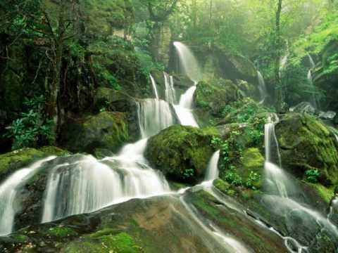 Progressive Muscle Relaxation Guided Meditation - YouTube