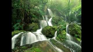 Progressive Relaxation Guided Mediation