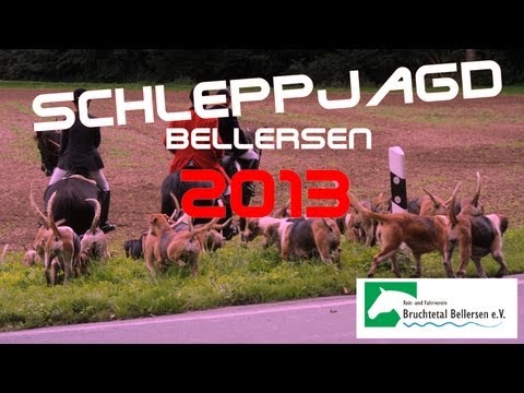 Schleppjagd 2013 in Bellersen