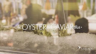 The Oyster amp Caviar Bar