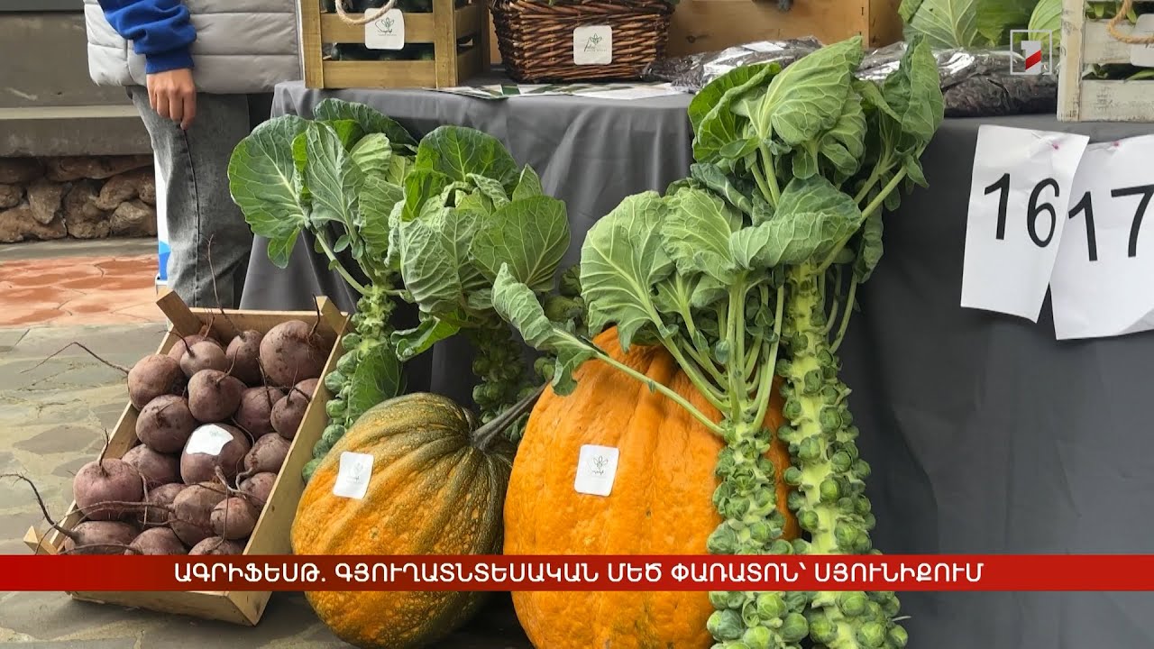 ԱգրիՖեսթ. գյուղատնտեսական մեծ փառատոն՝ Սյունիքում