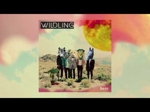 Wildling - Hummingbird [Official Audio]