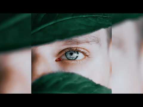 Joseph Goldstein – Insight Hour – Ep. 59 – The Satipatthāna Sutta: Continuous Mindfulness