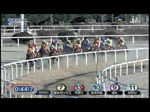 2011 Segye Ilbo Cup - Kkakjaengi