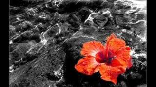 Per Ricordarmi Di Te Lyrics English Translation