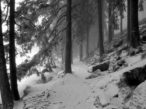 Xasthur - Subliminal Genocide (Full Album) (2006)