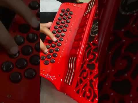 Saquen plan - David Ornelas x Gabito Ballesteros #acordeon #ranchohumilde #pedraza