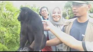 Download lagu HERY RAHMAN - ANGGO mp3 Download lagu HERY RAHMAN - ANGGO mp3