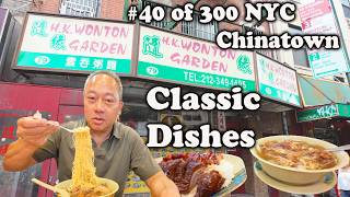 Eating Classic Dishes at HK Wonton Garden, #40 in Eat at All 300 Restaurants in NYC Chinatown