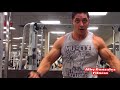 Chest, Biceps, Shoulders, And Forearms Workout Routine