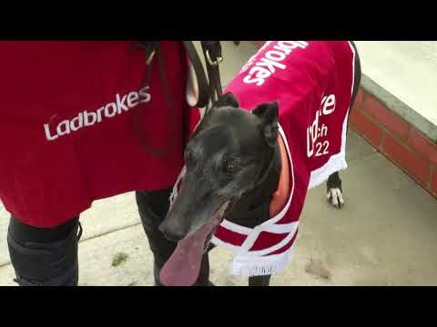 2022 Ladbrokes Cesarewitch Final - Savana Volcano