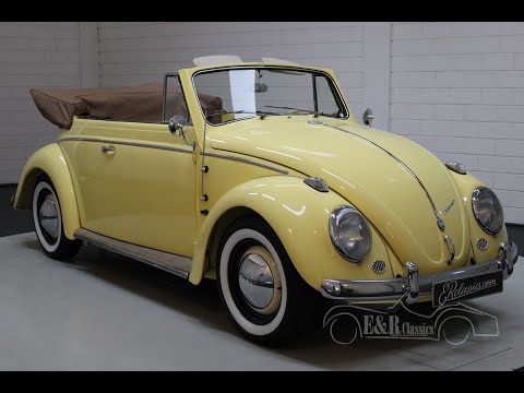 1963 Volkswagen Beetle (CC-1411749) for sale in Waalwijk, Noord-Brabant