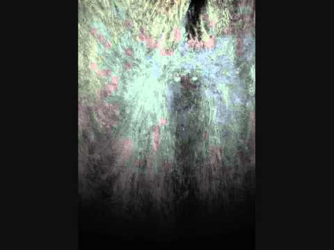 lightsweeper / Wyllyll