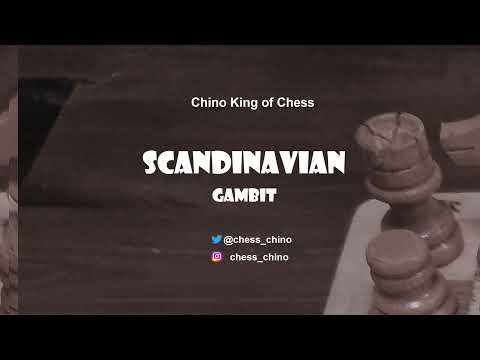 Scandinavian Gambit (Vojtech Zwardon - Igor Rausis, 0-1)