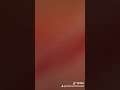 سامع دقات قلبك خايف خلاص بعنيا معتش شايف سامع دقات قلبك خايف خلاص بعنيا معتش شايف