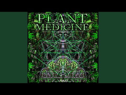 Try Mushroom (Original Mix)