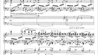 Rachmaninoff: Piano Concerto No.3, Movement I, (Volodos -- Ossia Cadenza)