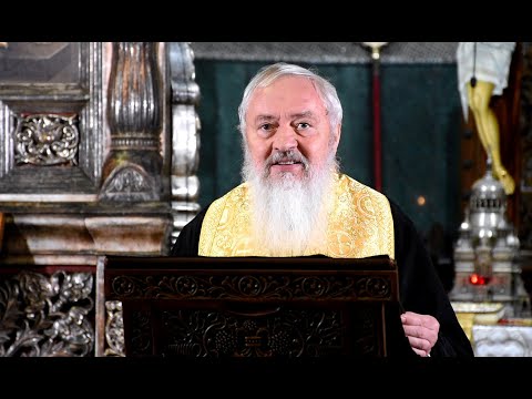 Cateheză ÎPS Andrei – Învierea noastră prin Botez