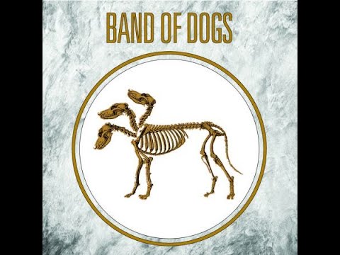 Band Of Dogs - Teaser 2° Album