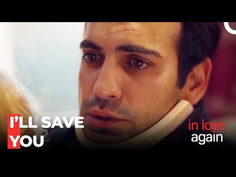 You Taught Me How to Love - In Love Again