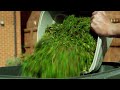 Flymo Easi Glide 300 30cm Hover Corded Electric Lawnmower